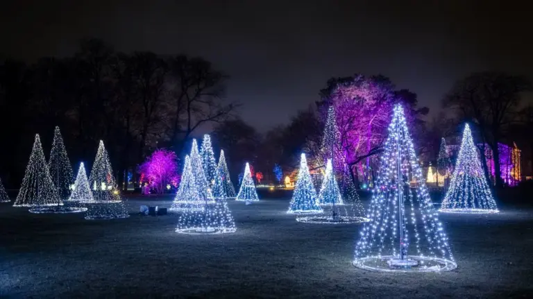 Leuchtende Lichterbäume im nächtlichen Park beim Christmas Garden auf der Insel Mainau
