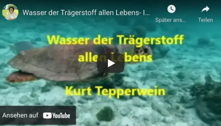 Vorschaubild des Videos „Wasser, der Trägerstoff allen Lebens“ von Kurt Tepperwein mit Meeresschildkröte unter Wasser