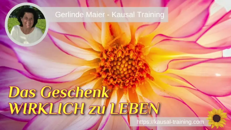 Kausaler Impuls  -  Das Geschenk WIRKLICH zu LEBEN